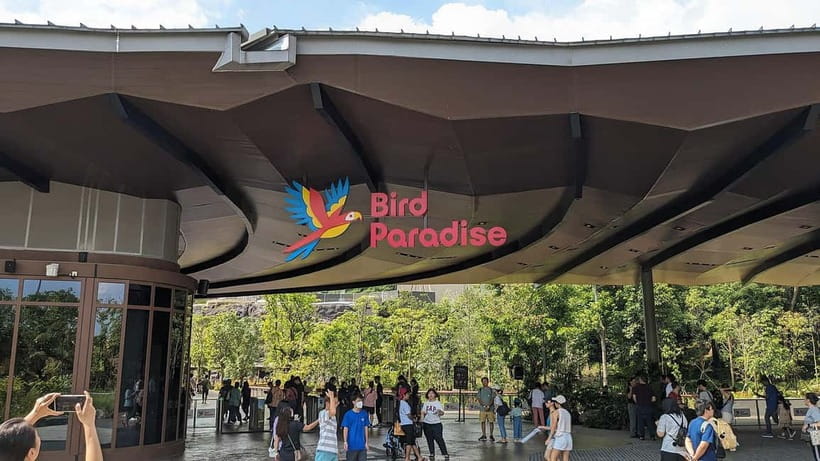 Singapore: Bird Paradise - What Bird Paradise Singapore gives you in one day