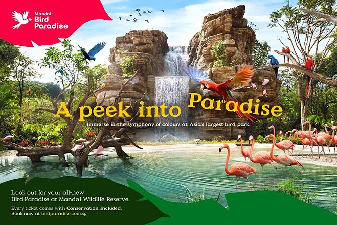 Singapore Bird Paradise Entry Ticket - Who should book Bird Paradise (and who might hesitate)