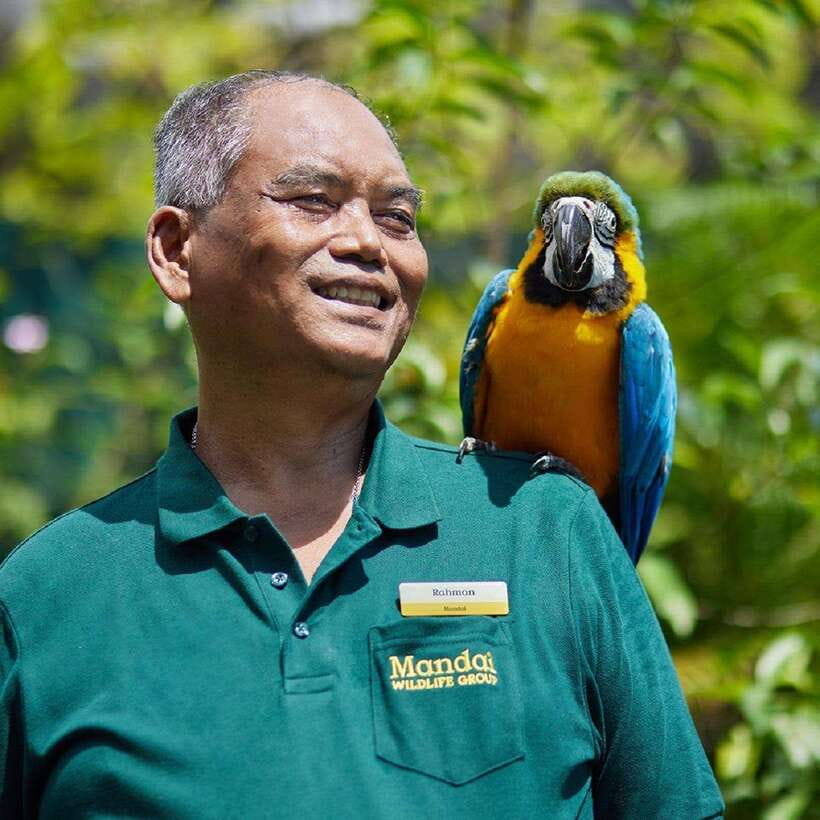Singapore: Bird Paradise Entry Ticket - The conservation angle: breeding center work that you’re actually supporting