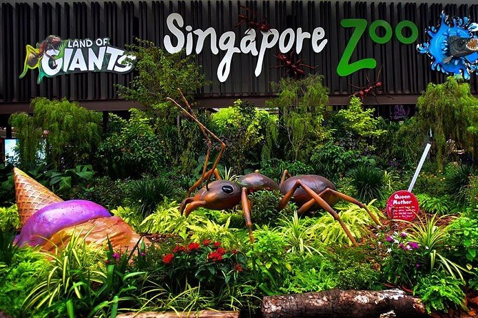 Singapore Bird Paradise & Zoo Full Day (Ticket & Transfer ) - The Tram and Audio Commentary: A Practical Shortcut
