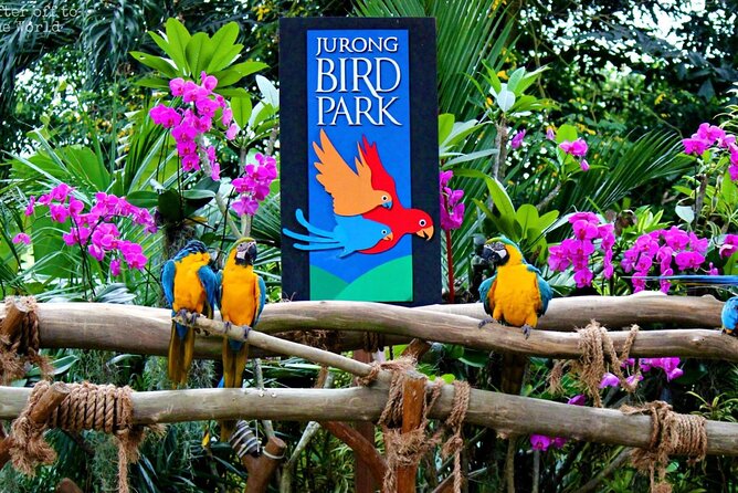 Singapore Bird Paradise & Zoo Full Day (Ticket & Transfer ) - Timing the Full Day: How to Avoid the Rush Feeling