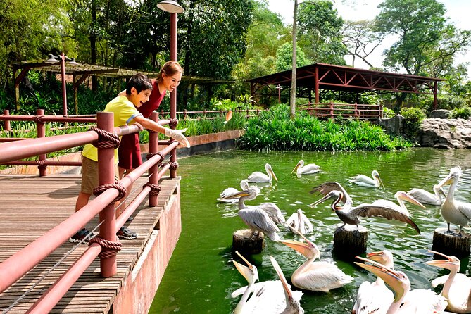 Singapore Bird Paradise & Zoo Full Day (Ticket & Transfer ) - Price and Value: Is $181.62 a Good Deal?