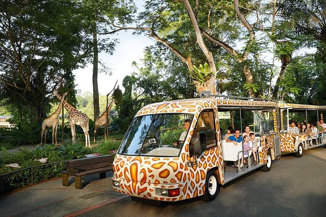 Singapore Bird Paradise & Zoo Full Day (Ticket & Transfer ) - Who This Tour Fits Best