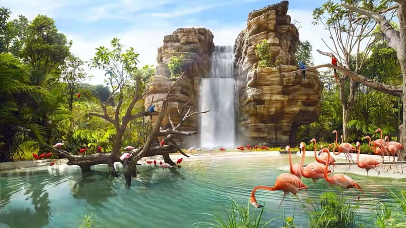 Singapore: Bird Paradise - Asian bird highlights: hornbills and spoonbills