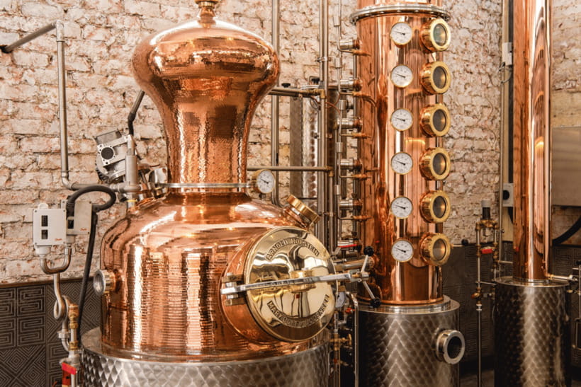 Singapore: Brass Lion Guided Gin Tasting Experience Ticket - Brass Lion Distillery experience: why the $59 makes sense
