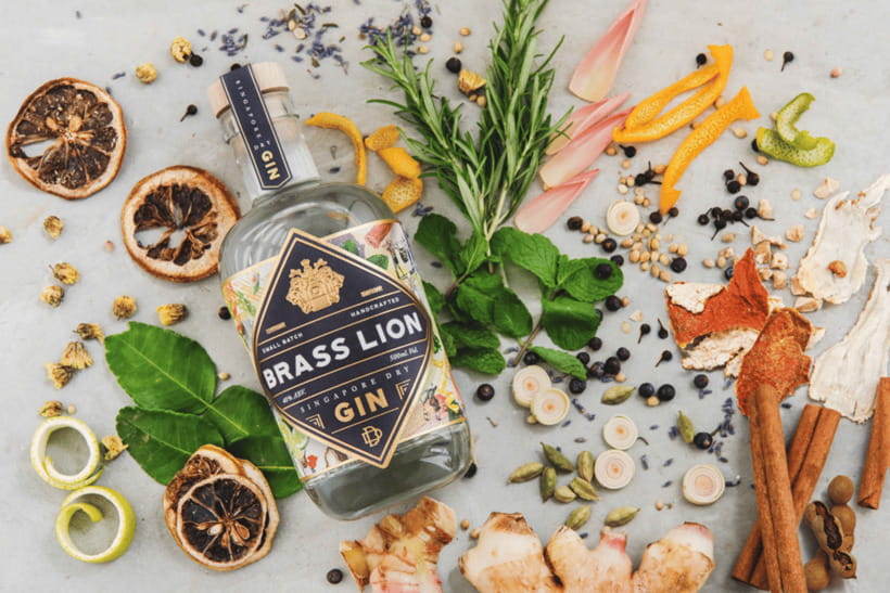 Singapore: Brass Lion Guided Gin Tasting Experience Ticket - The opening intro: Brass Lion’s start and what it changes in the glass