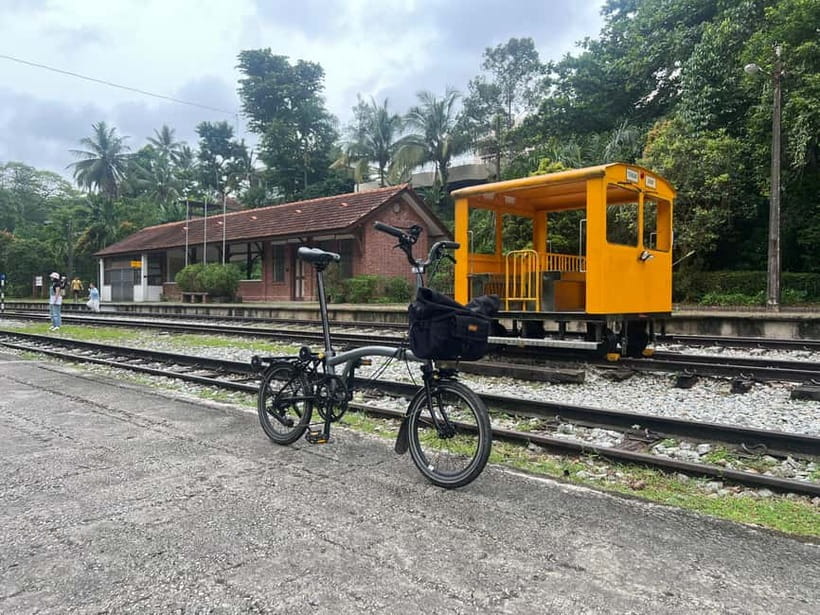 Singapore Brompton Bike Tour from Rail Corridor, with food! - Helix Bridge and the Marina Bay ending: views plus a gentle finish