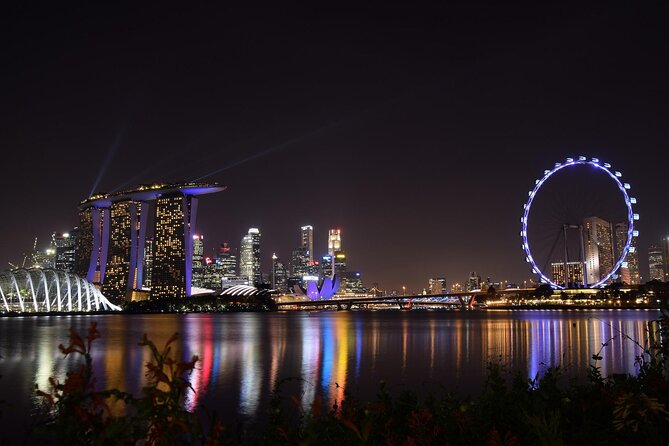 Singapore by Night Top Senic Sightseeing Private Tour - Marina Bay Sands SkyPark: skyline views without planning stress