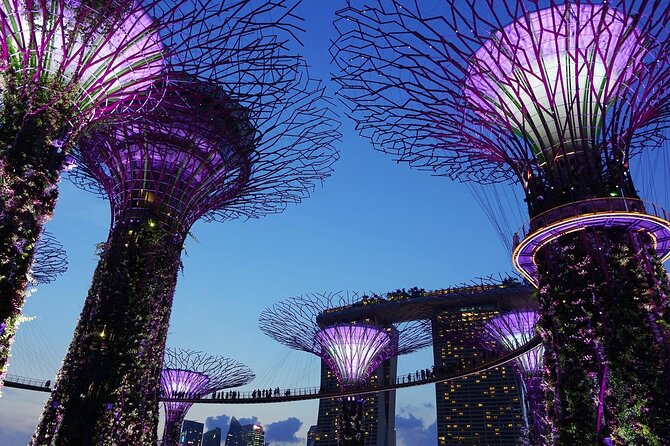 Singapore by Night Top Senic Sightseeing Private Tour - The Singapore River cruise: bridges, lights, and a smoother pace