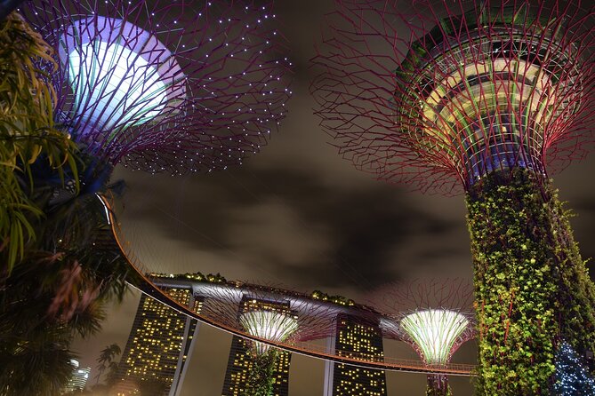 Singapore by Night Top Senic Sightseeing Private Tour - Price and value: what you’re really paying for