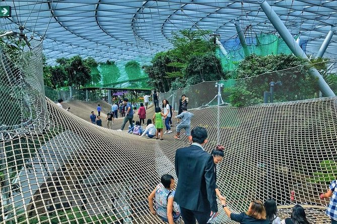 Singapore Changi Jewel Highlights Walking Tour - What this Jewel highlights walk is really for