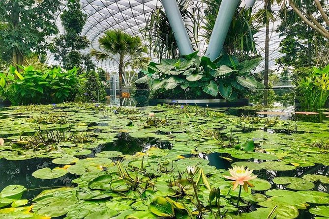 Singapore Changi Jewel Highlights Walking Tour - Jewel Changi Airport: the waterfall dome has a backstory