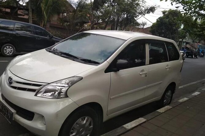 Singapore Changi SIN Airport Private Transfer to City Center - Private Changi to City Center: The Real Purpose