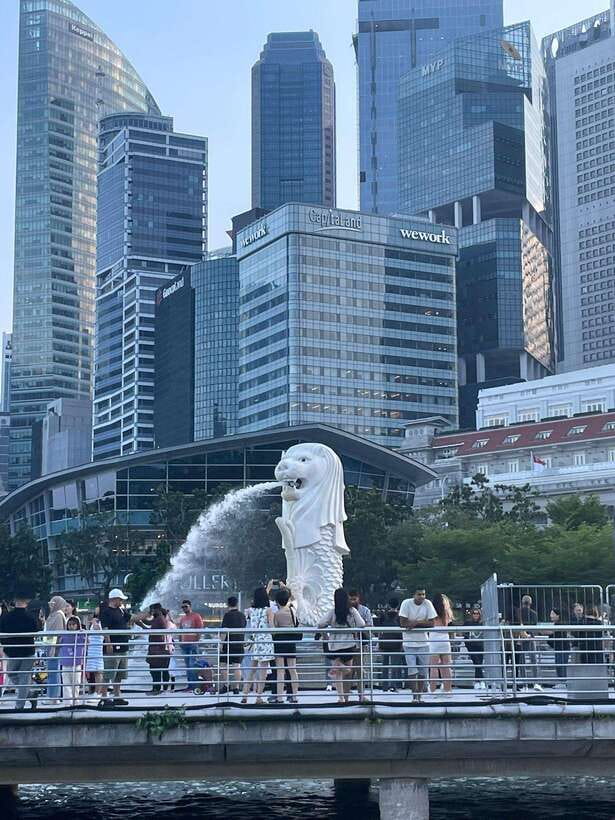 Singapore: City Tour & Jurassic World at Gardens by the Bay - Supertree Observatory Time: The View Part That People Remember