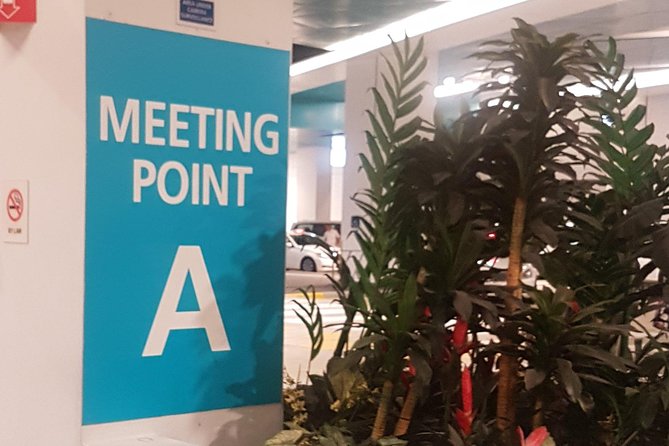 Singapore Cruise Centre Transfer to Hotel - Local Tips on the Way: Practical Singapore Guidance, Not Just Small Talk