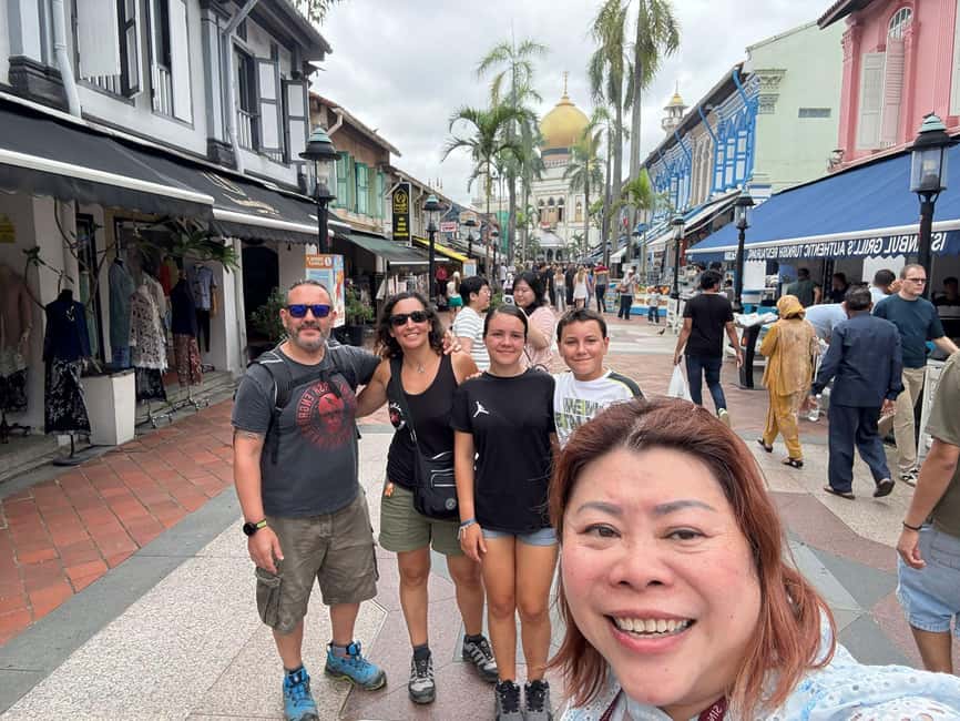 Singapore: Customized Private Tours (Car/Bus/Walking) - Car or bus vs public transport: choose comfort, control, and cost