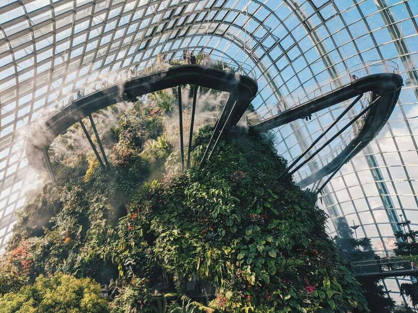 Singapore: Day Tour for Sentosa, Gardens by the Bay, Flyer - Gardens by the Bay: Supertrees, Flower Dome, and Cloud Forest (2 Hours)