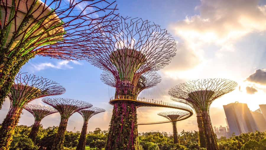 Singapore: Disney Garden of Wonder at Floral Fantasy - Who this is perfect for (and who may want a different plan)