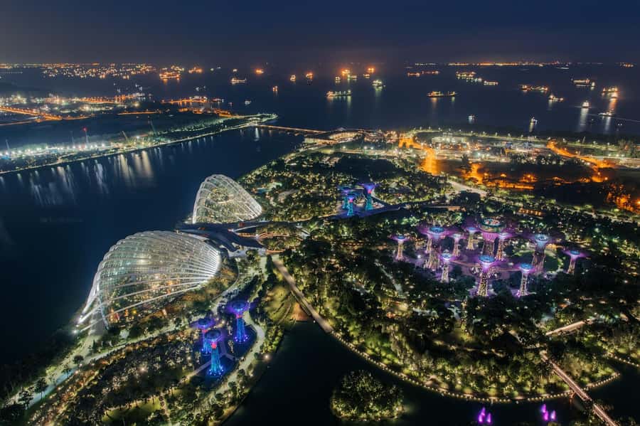 Singapore: Disney Garden of Wonder at Floral Fantasy - Should you book this Disney Garden of Wonder experience?