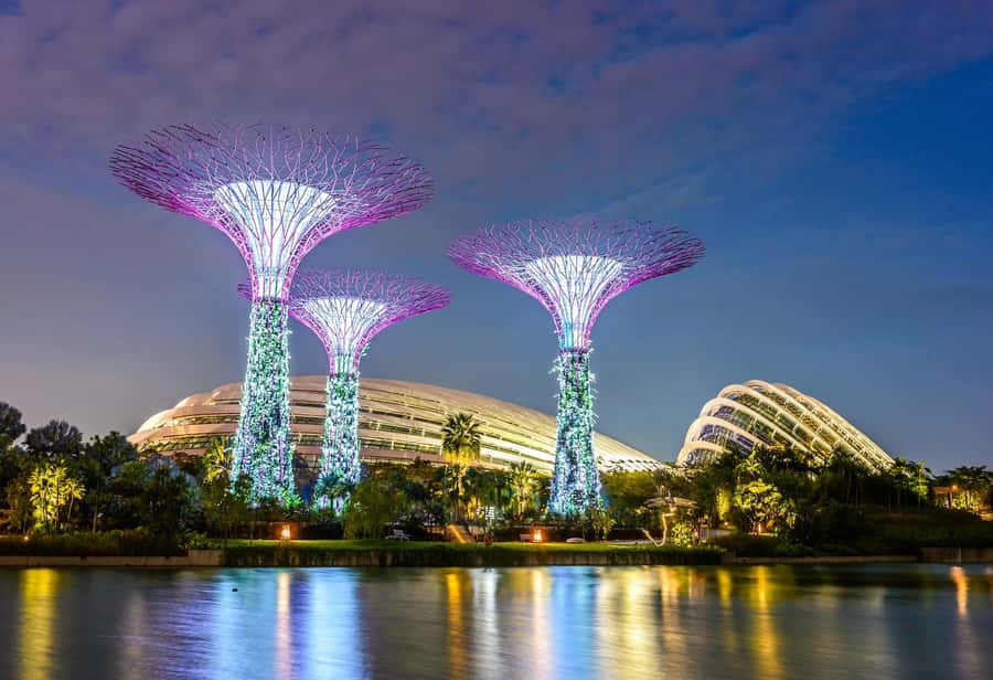 Singapore: Disney Garden of Wonder at Floral Fantasy - What your $19 ticket really covers (and what it doesn’t)