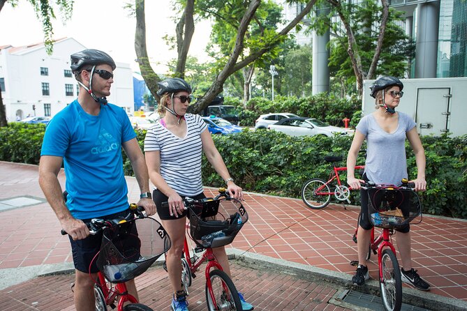 Singapore Full-Day Bike & Food Tour ( Private Tour ) - Key things that make this tour work