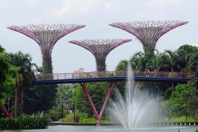 Singapore: Gardens by the Bay Admission E-Ticket - Gardens by the Bay e-ticket: what you’re really paying for