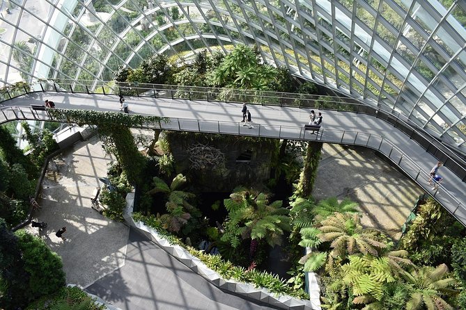 Singapore: Gardens by the Bay Admission E-Ticket - Floral Fantasy: four mini-worlds made of color