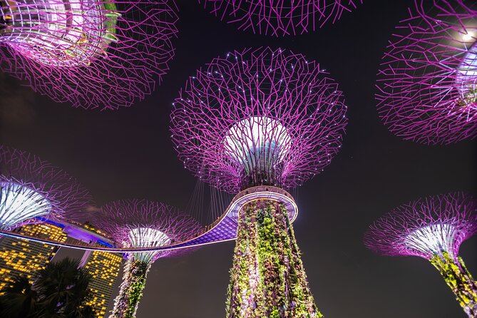 Singapore Gardens by the Bay Admission Skip-The-Line E-Ticket - Price and Value: When This Ticket Choice Pays Off
