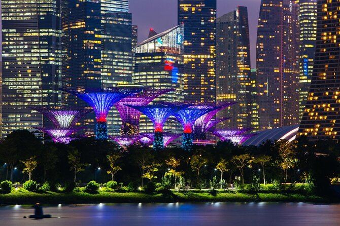 Singapore Gardens by the Bay Admission Skip-The-Line E-Ticket - Who This Experience Suits Best (and Who Might Skip)