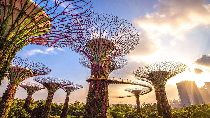 Singapore: Gardens by the Bay Bundle Entry Ticket - Key highlights you should not miss