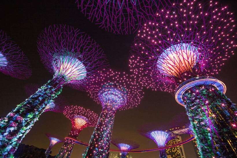 Singapore: Gardens by the Bay Bundle Entry Ticket - Flower Dome: the world’s largest glass greenhouse experience