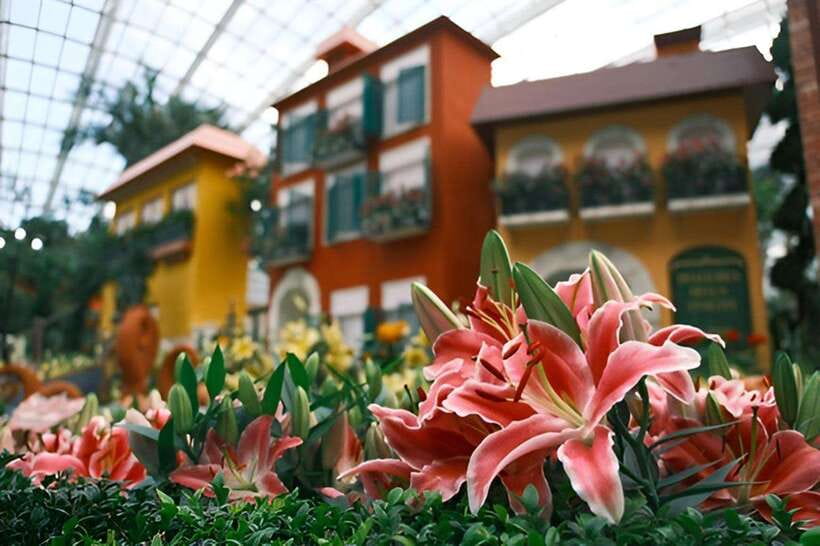 Singapore: Gardens by the Bay Bundle Entry Ticket - 2026 closure dates: plan around them or lose the day
