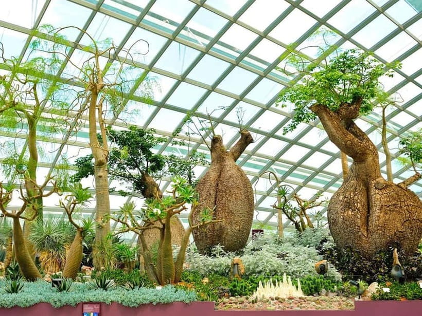 Singapore: Gardens by the Bay & Jurassic World with Pickup - Pickup, Van Ride, and the Real-Time Schedule Check