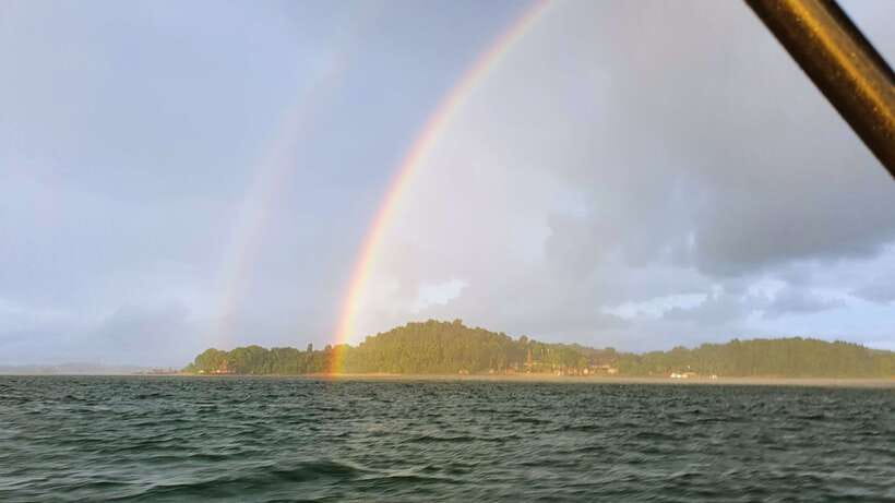 Singapore: Guided Boat Tour and Kelong Fish Farm Visit - Price and Value: Why $225 Can Make Sense for This Particular Trip