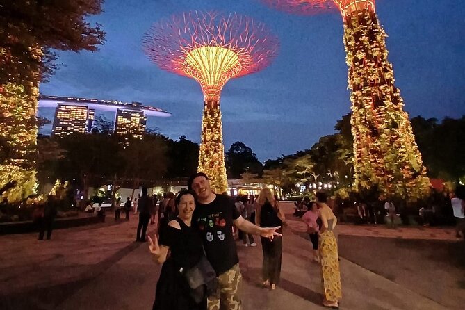 Singapore Guided Night Tour with 2 Light Shows & River Cruise - Gardens by the Bay Light Show: Supertree Grove at Night