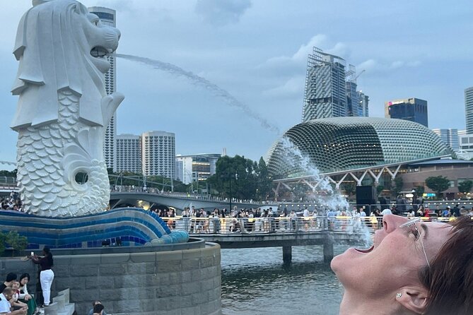 Singapore Guided Night Tour with 2 Light Shows & River Cruise - What’s Included (and What You Should Still Bring)