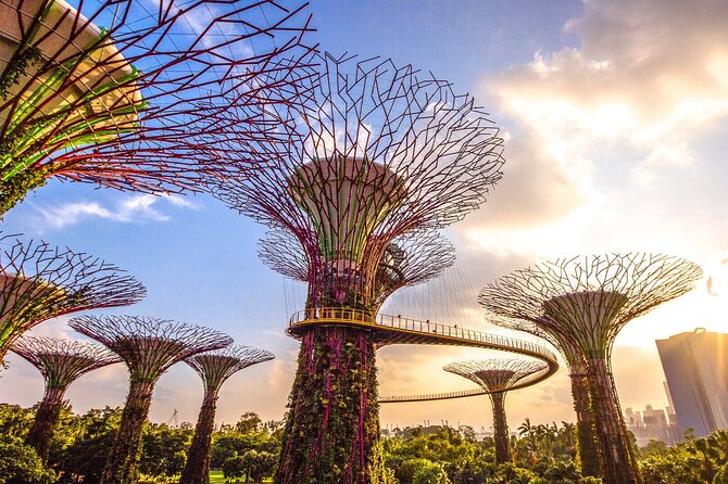 Singapore Half Day City Tour w Skypark and Gardens By The Bay - Key points at a glance