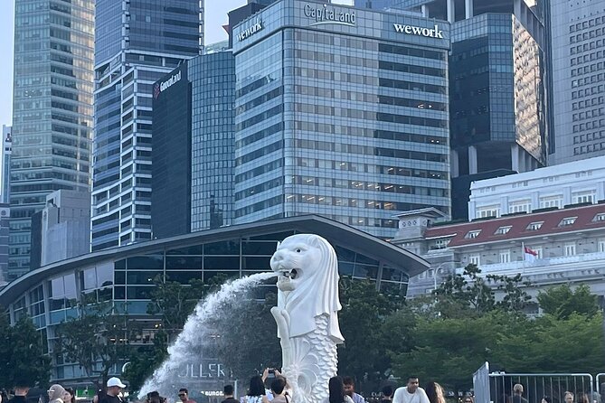 Singapore Half Day City Tour w Skypark and Gardens By The Bay - A half-day that balances icon photos and real Singapore stops