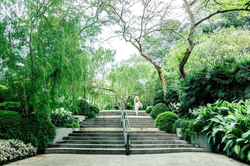 Singapore: Half-Day City Tour with Hotel Transfer - Key Highlights You’ll Actually Feel