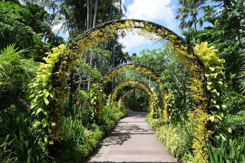 Singapore: Half-Day City Tour with Hotel Transfer - Singapore Botanic Gardens and the National Orchid Garden Ticket