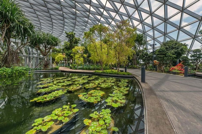 Singapore: Jewel Changi Airport Attraction Ticket - Timing in Singapore: opening hours and a simple 1-day flow