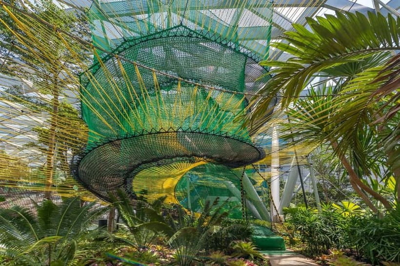 Singapore: Jewel Changi Airport Attraction Ticket - Comfort and safety: shoes, bags, and who should plan differently
