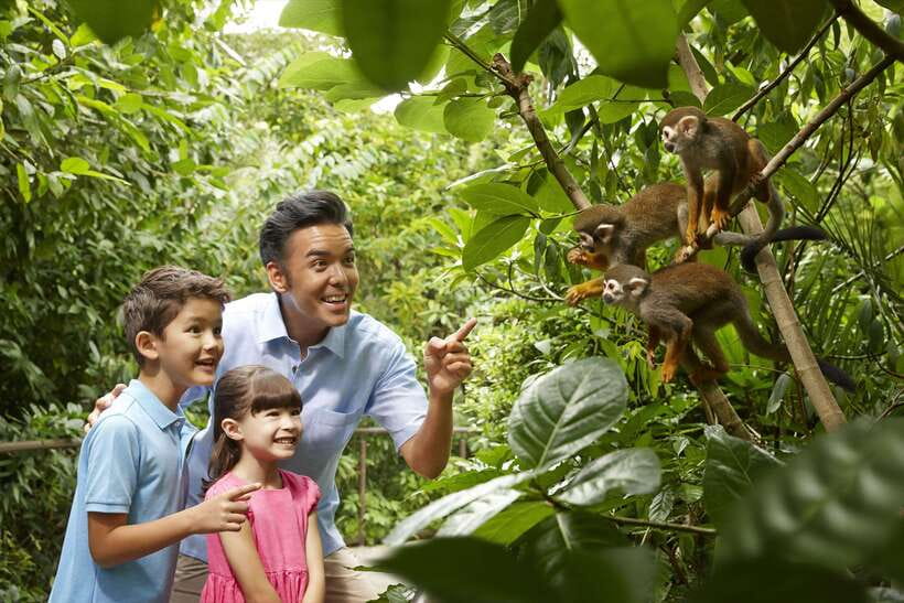 Singapore: Mandai Park Entry with Choice of Attractions - Mandai Park: A smart way to see more wildlife in one day