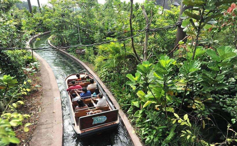 Singapore: Mandai Park Entry with Choice of Attractions - Bird Paradise: themed aviaries and the fun of bird feeding rules