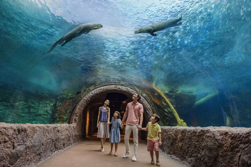 Singapore: Mandai Park Entry with Choice of Attractions - River Wonders: pandas, Amazon boat rides, and river habitat storytelling