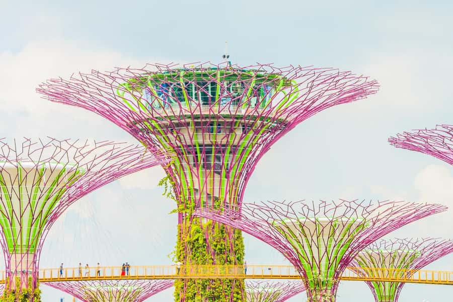 Singapore: Marina Bay Sands & Gardens By The Bay & Transfer - Gardens by the Bay Plan: Three Styles of Singapore in One Park