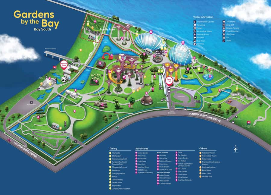 Singapore: Marina Bay Sands & Gardens By The Bay & Transfer - Cloud Forest: The Mist-Filled Indoor Waterfall Moment