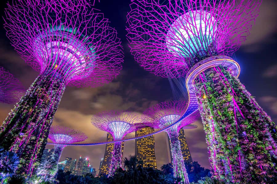 Singapore: Marina Bay Sands & Gardens By The Bay & Transfer - Marina Bay Sands SkyPark: Your Best Photo Window