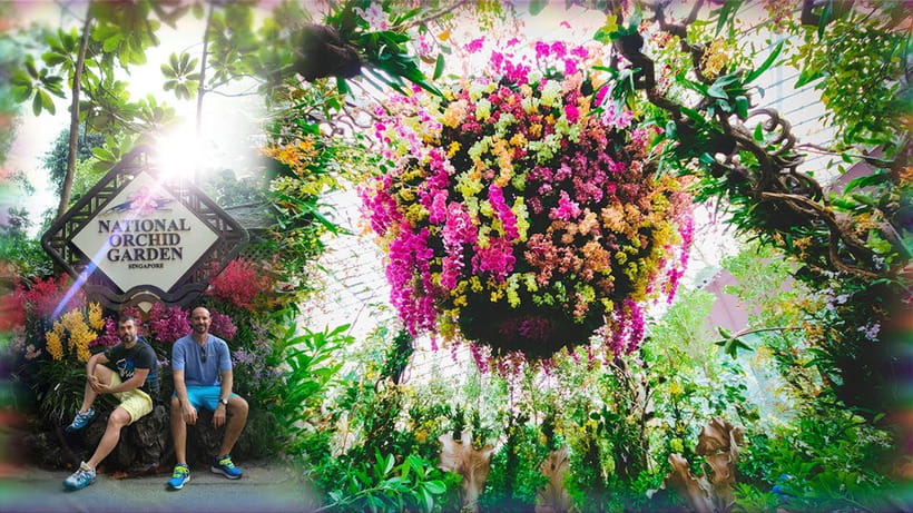 Singapore: National Orchid Garden Admission - Price and Value at About $7 a Person