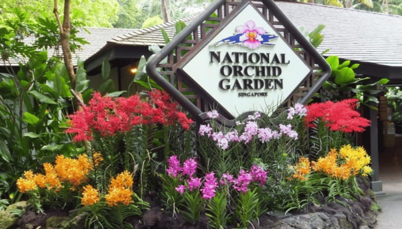 Singapore: National Orchid Garden Admission - Flower Dome: A Futuristic Greenhouse Mix of Orchids and Exotics